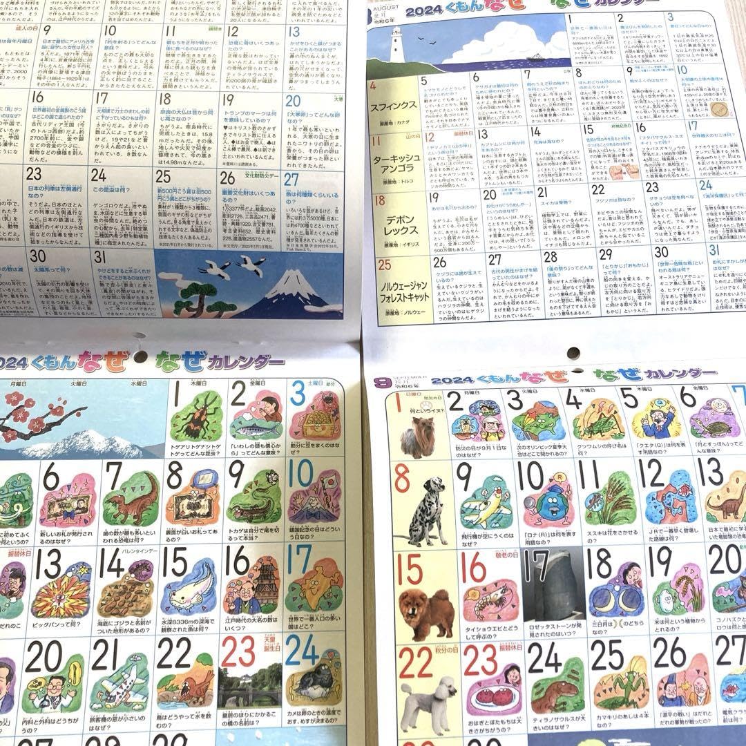 Amazon.co.jp: 2024年 くもんなぜなぜカレンダー 壁掛けカレンダー 令